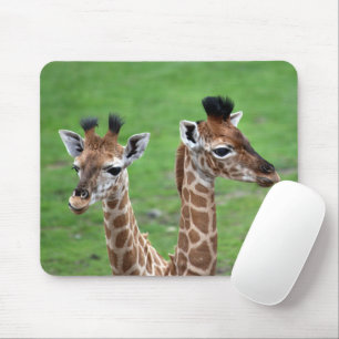 Mooiste Babydieren Twee Baby Giraffen Muismat