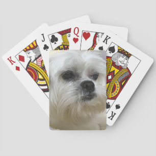 Mookee the Lhasa Apso Dog Pokerkaarten