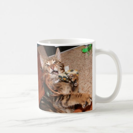 Mooki: "Ik kan caffeenz hebben?" mok (Rechts)