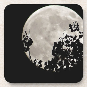 Moon achter donkere bladeren drankjes onderzetter