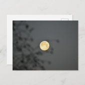 Moon Briefkaart (Voorkant / Achterkant)