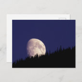 Moon & Forest | Nationaal park Glacier Montana Briefkaart (Voorkant / Achterkant)