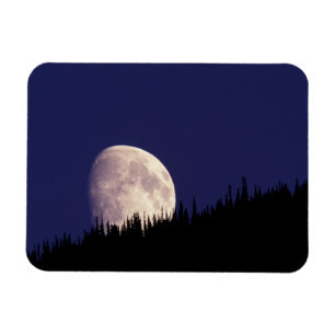 Moon & Forest   Nationaal park Glacier Montana Magneet