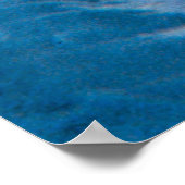 Moon Jelly Poster (Hoek)