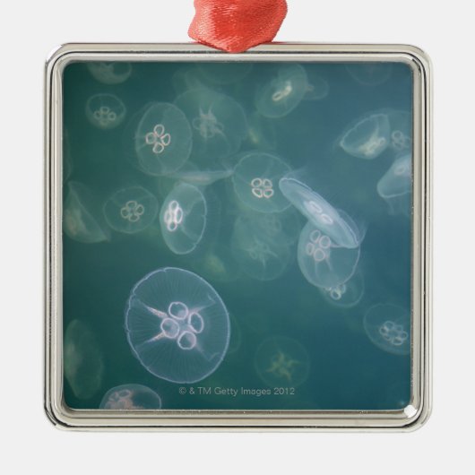 Moon jellyfish metalen ornament (Voorkant)
