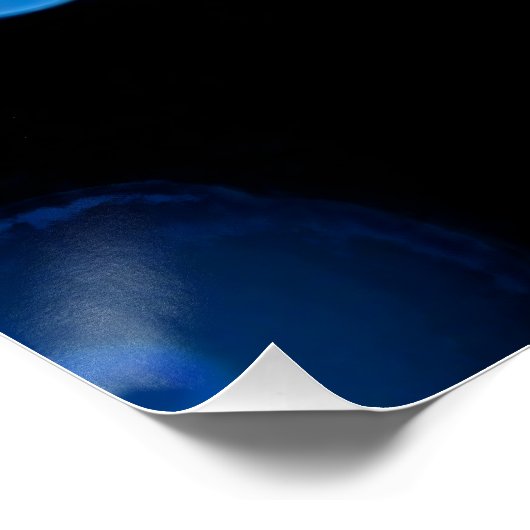 Moon jellyfish no. 4 perfect poster (Hoek)