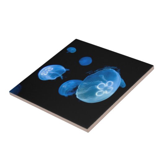 Moon jellyfish no. 4 tegeltje (Zijkant)