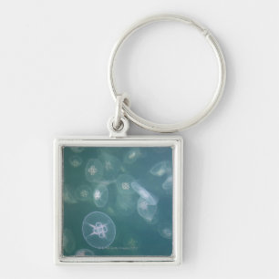 Moon jellyfish sleutelhanger