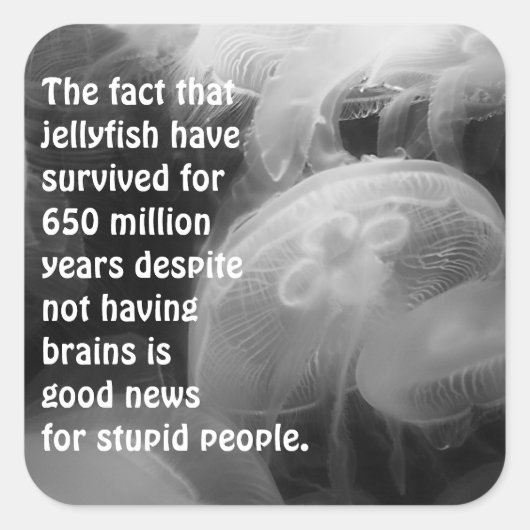 Moon Jellyfish Sticker (Voorkant)