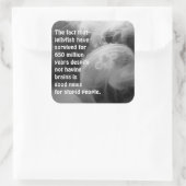 Moon Jellyfish Sticker (Tas)