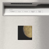 Moon Magnet Magneet (Insitu (Vaatwasser))