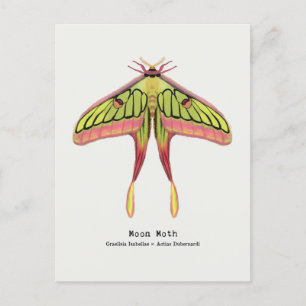 Moon moth briefkaart