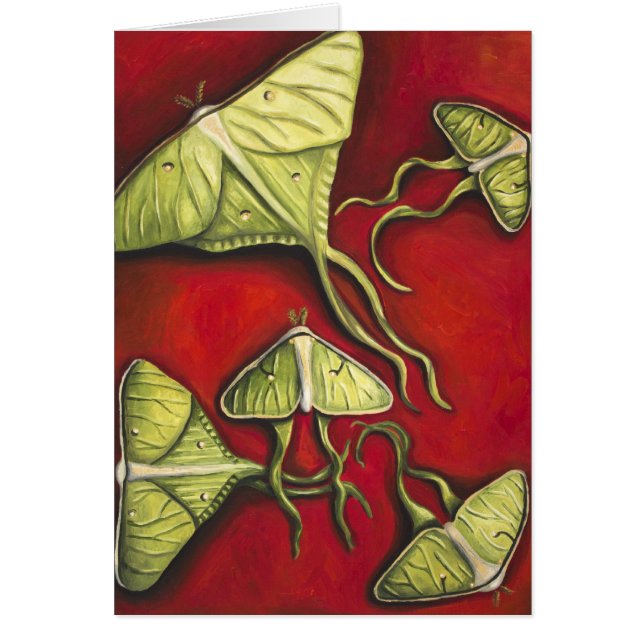 Moon Moths (Voorkant)