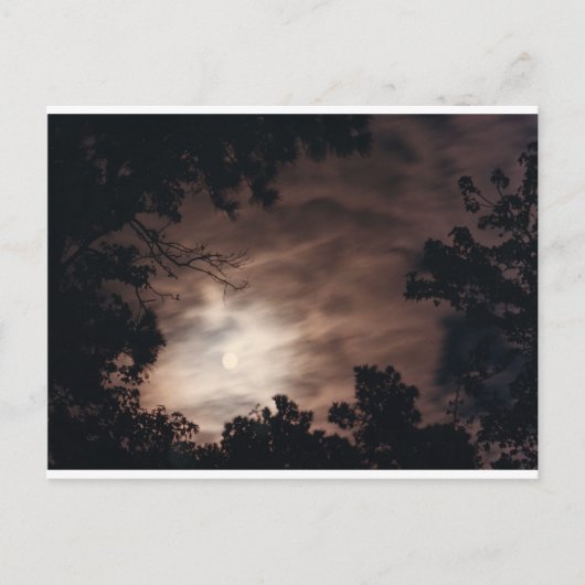 Moon over Charleston Briefkaart (Voorkant)