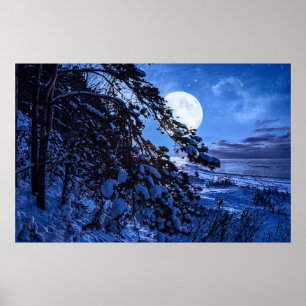 Moon over de sneeuwvloerboom en de kust van het ze poster