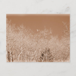 Moon Over het Witte Briefkaart