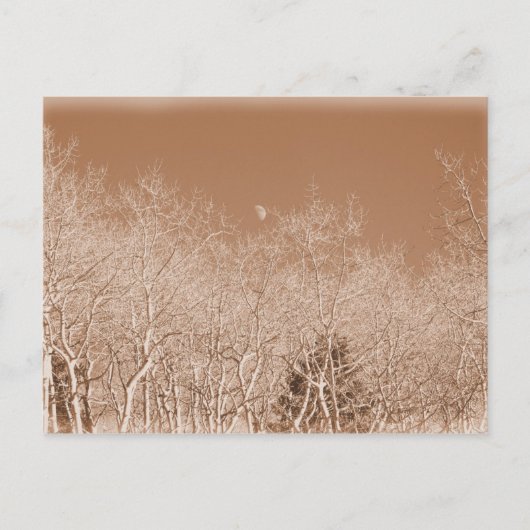 Moon Over het Witte Briefkaart (Voorkant)