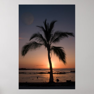 MOON PALM POSTER