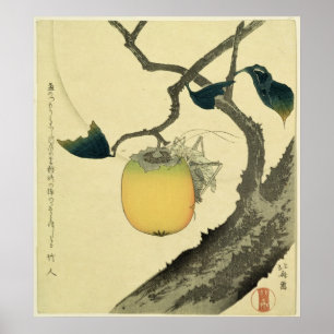 Moon, Persimmon en Grasshopper, 1807 Poster