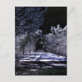 Moon Shadows Briefkaart (Voorkant)