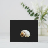 Moon Shell Briefkaart (Staand voorkant)