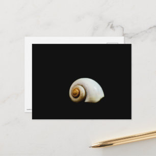 Moon Shell Briefkaart
