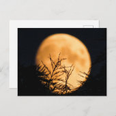 Moon Silhouette Briefkaart (Voorkant / Achterkant)