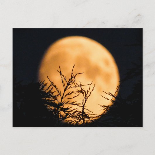 Moon Silhouette Briefkaart (Voorkant)