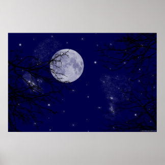 Moon Uitzicht Poster
