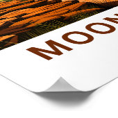 Moon Valley Chile Reisprint Poster (Hoek)