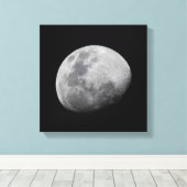 Moon with Black Sky | Zambia, South Luangwa Canvas Afdruk (Insitu (Houten vloer))