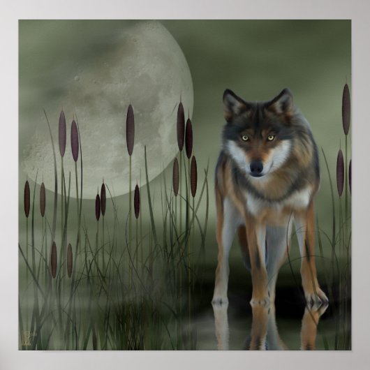 Moon Wolf - Wolf, Dieren Poster (Voorkant)