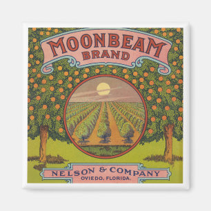 Moonbeam Brand citrusetiket Magneet