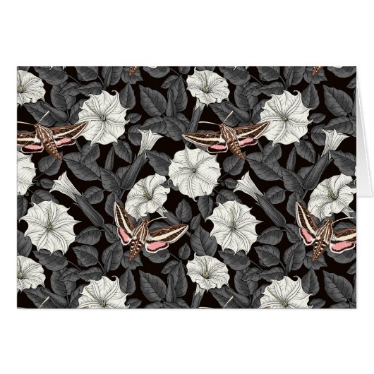 Moonbloemen en spinxmoden 2 (Voorkant Horizontaal)