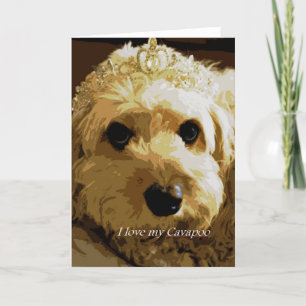 Mooncards, Cavapoo, Prinses, het Wenskaart van het Kaart