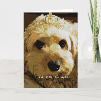 Mooncards, Cavapoo, Prinses, het Wenskaart van het Kaart