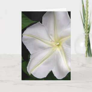 Moonflower Birthday Wenskaart Kaart