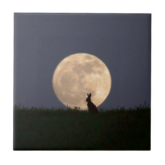 Moongazer.JPG Tegeltje