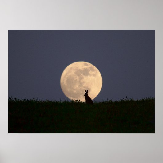 Moongazer Poster (Voorkant)