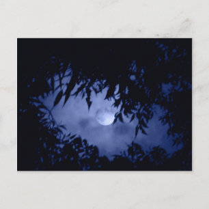 Moonglow Briefkaart