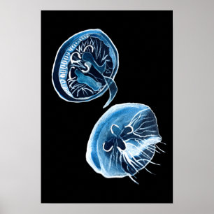 MoonJellyfish waterverf art Poster