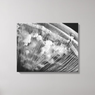 Moonkussens - Vergerasterde canvasafdruk Canvas Afdruk