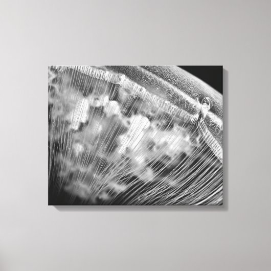 Moonkussens - Vergerasterde canvasafdruk Canvas Afdruk (Voorkant)