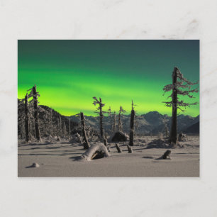 Moonlight Aurora Briefkaart