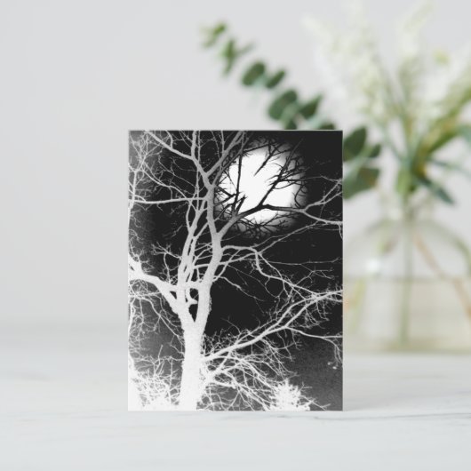 Moonlight Briefkaart (Staand voorkant)