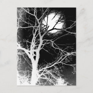 Moonlight Briefkaart