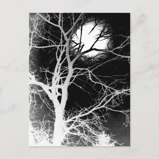 Moonlight Briefkaart (Voorkant)