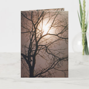 Moonlight Dream Kaart