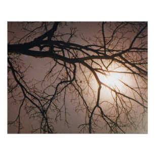 Moonlight Dream Perfect Poster