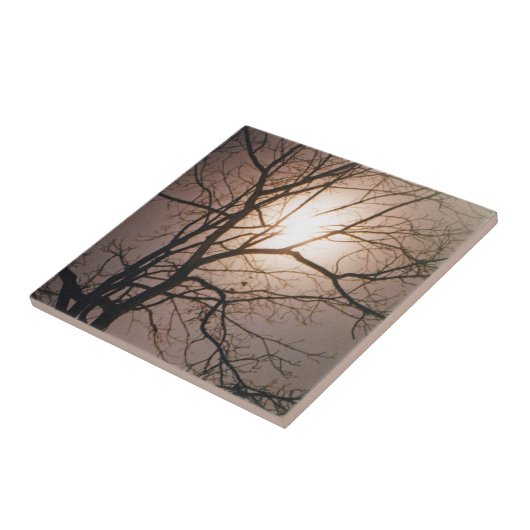 Moonlight Dream Tegeltje (Zijkant)